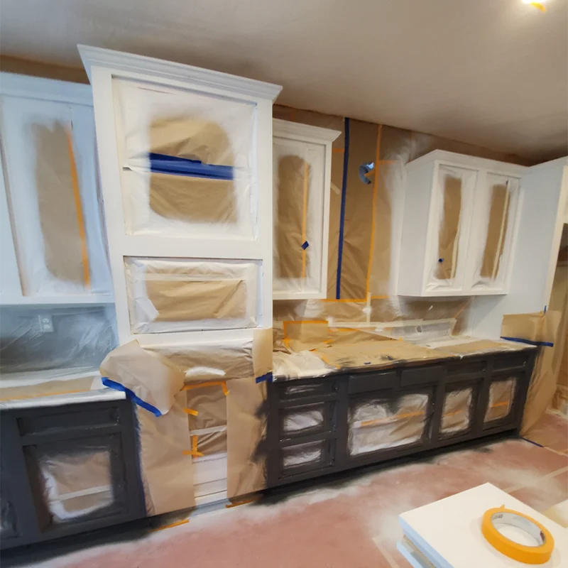 Professional Painting Service